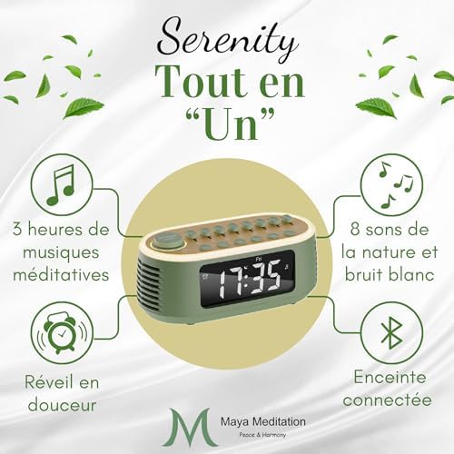 Vue 3 de Serenity Box De Relaxation