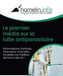 bannire publicitaire