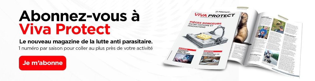 bannire publicitaire