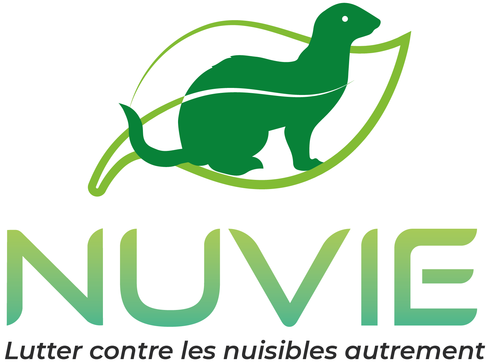 illustration d'entreprise