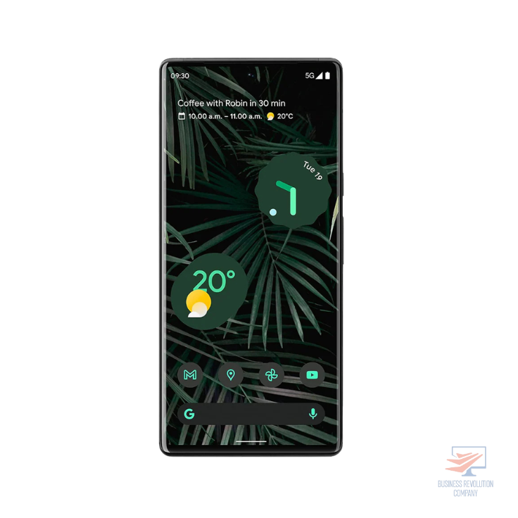 Telephone Google Pixel 6 Pro 5G