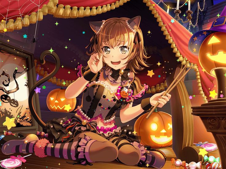 Sweet Cat (After Training)