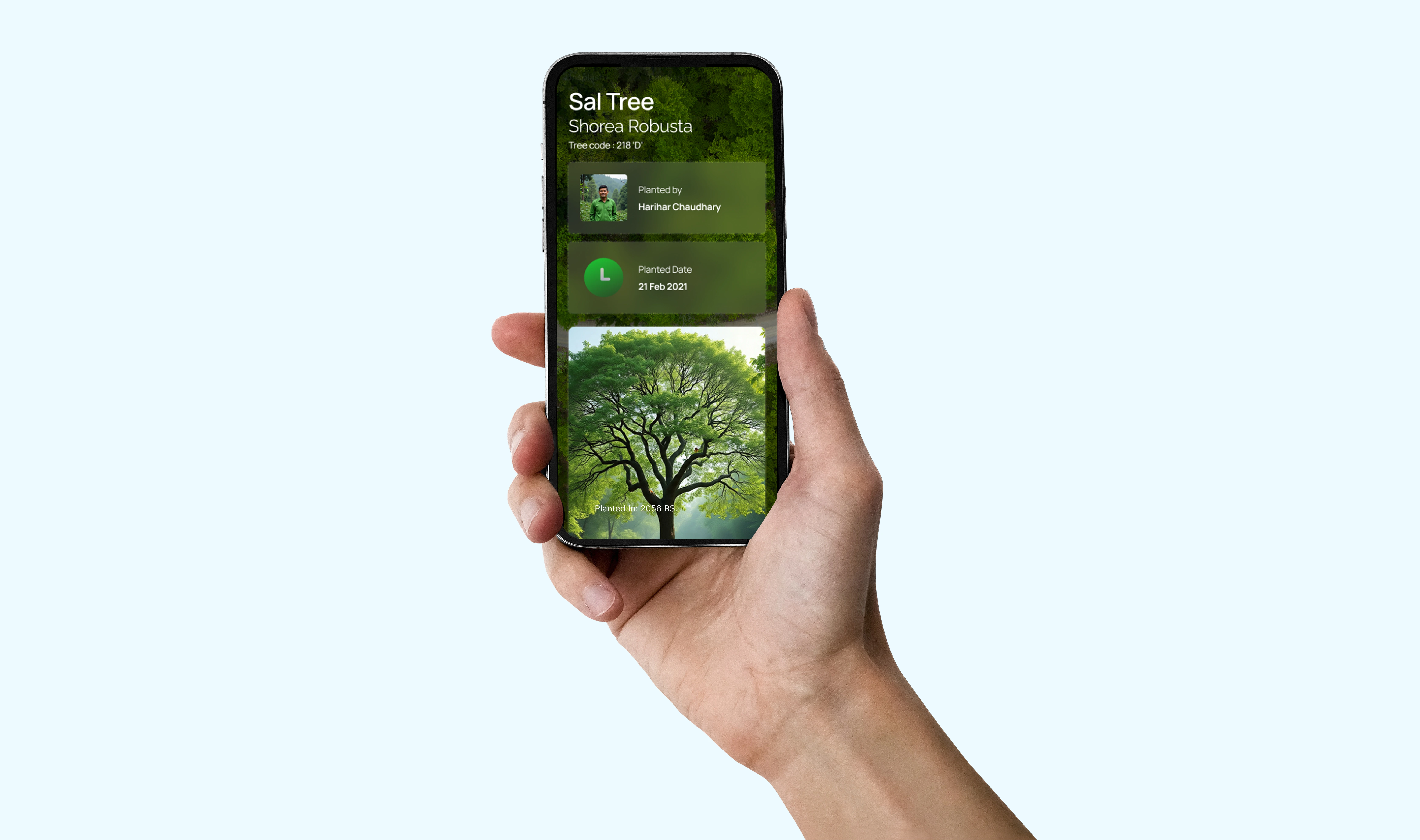 QR Tree Scanner