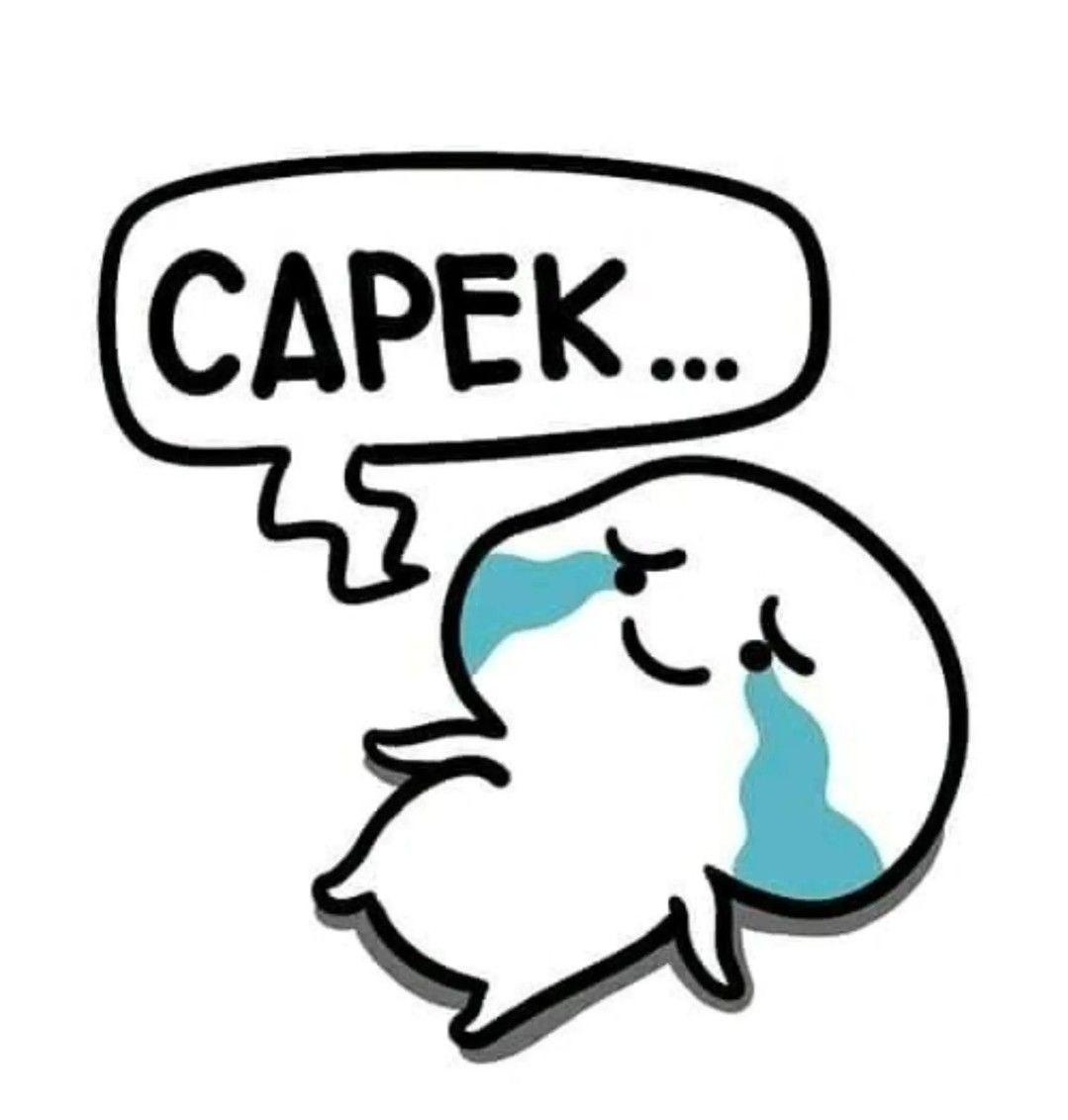 Monsgeek Keyboard AKKO V3 Switches