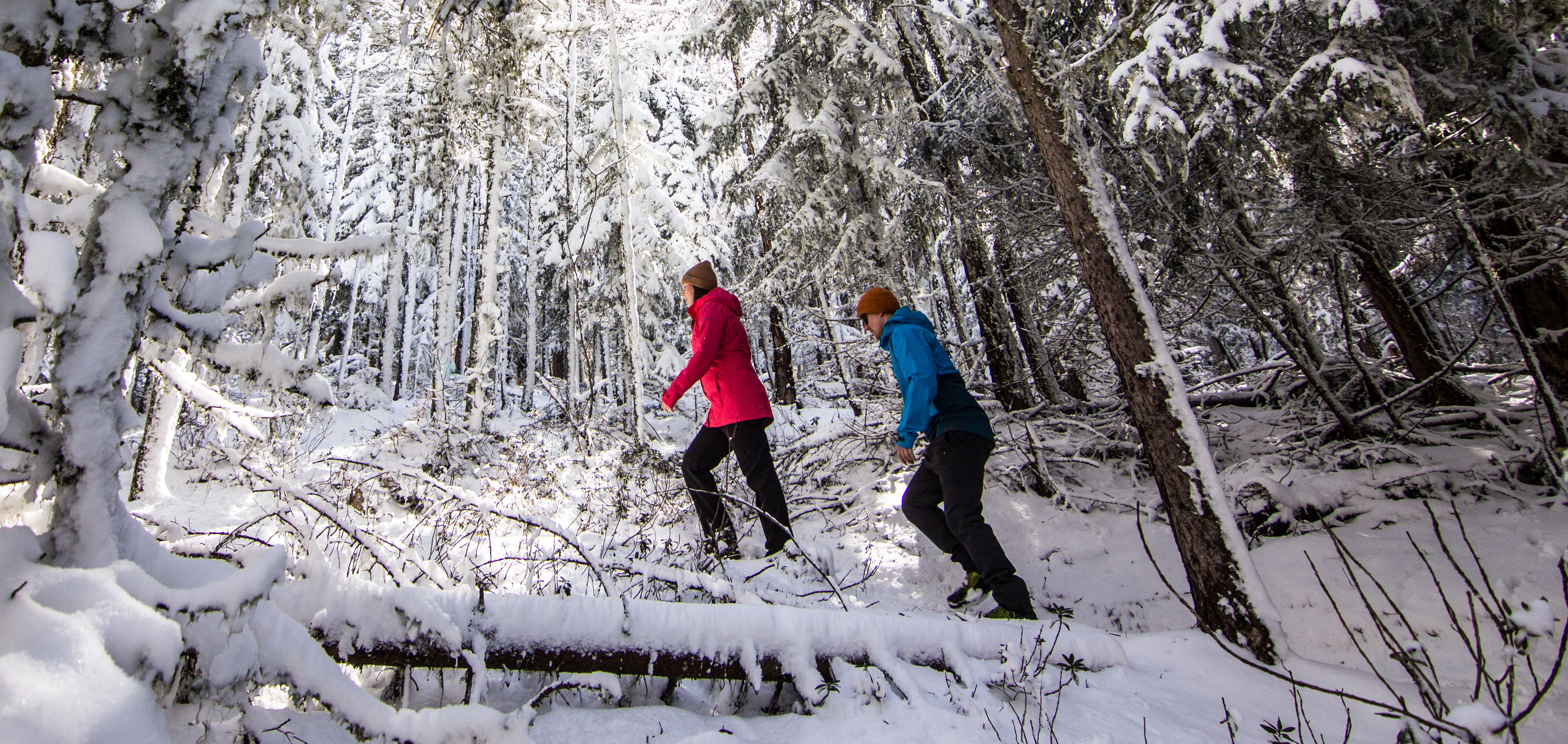 Carl Zuckmayer Winterwanderweg