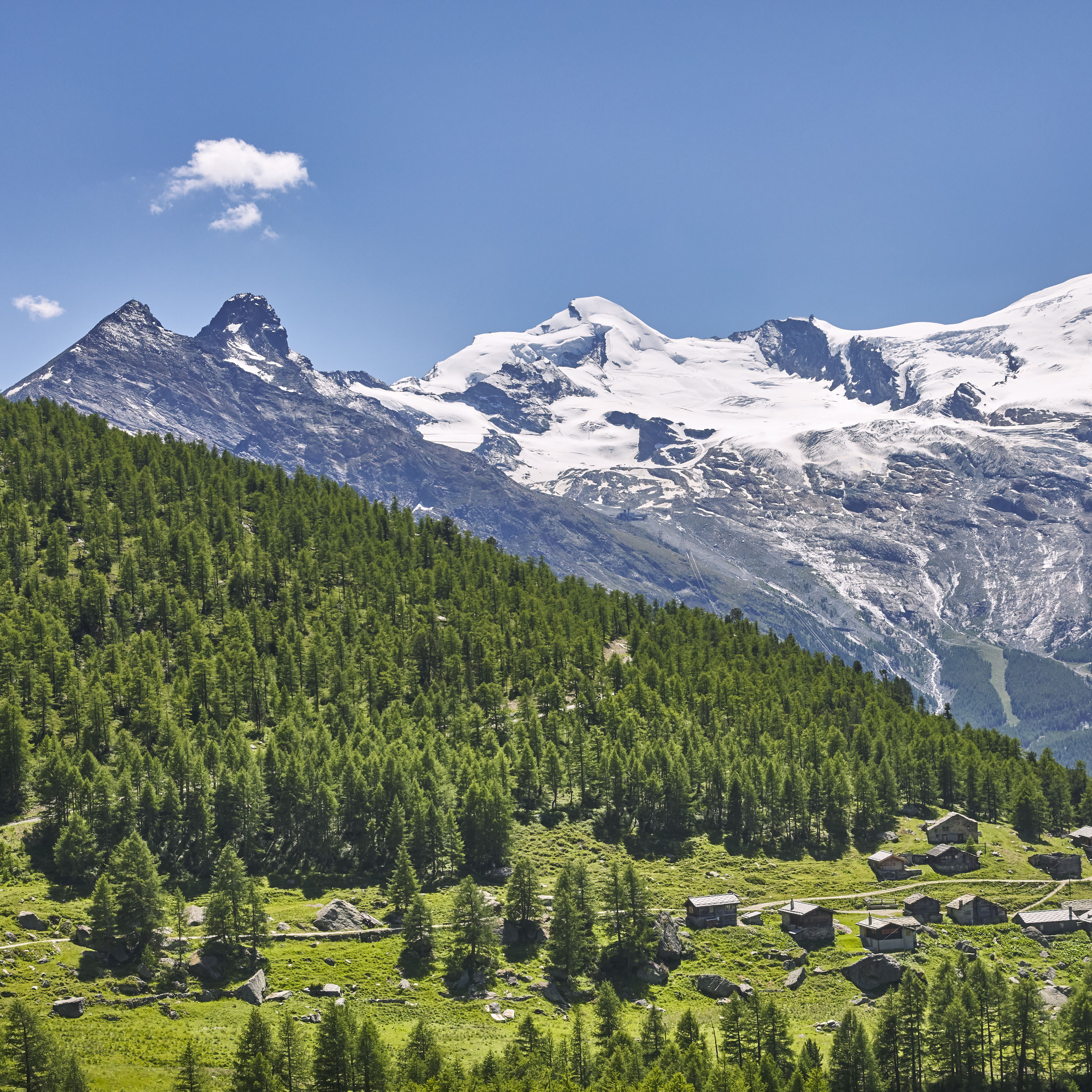 View of Triftalp in a green alpine landscape with meadows, larch trees and traditional buildings. Snow-covered mountains and glaciers rise in the background beneath a blue sky.