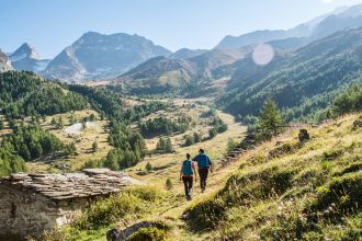 Wandern Landschaft Triftalp Sommer 2020