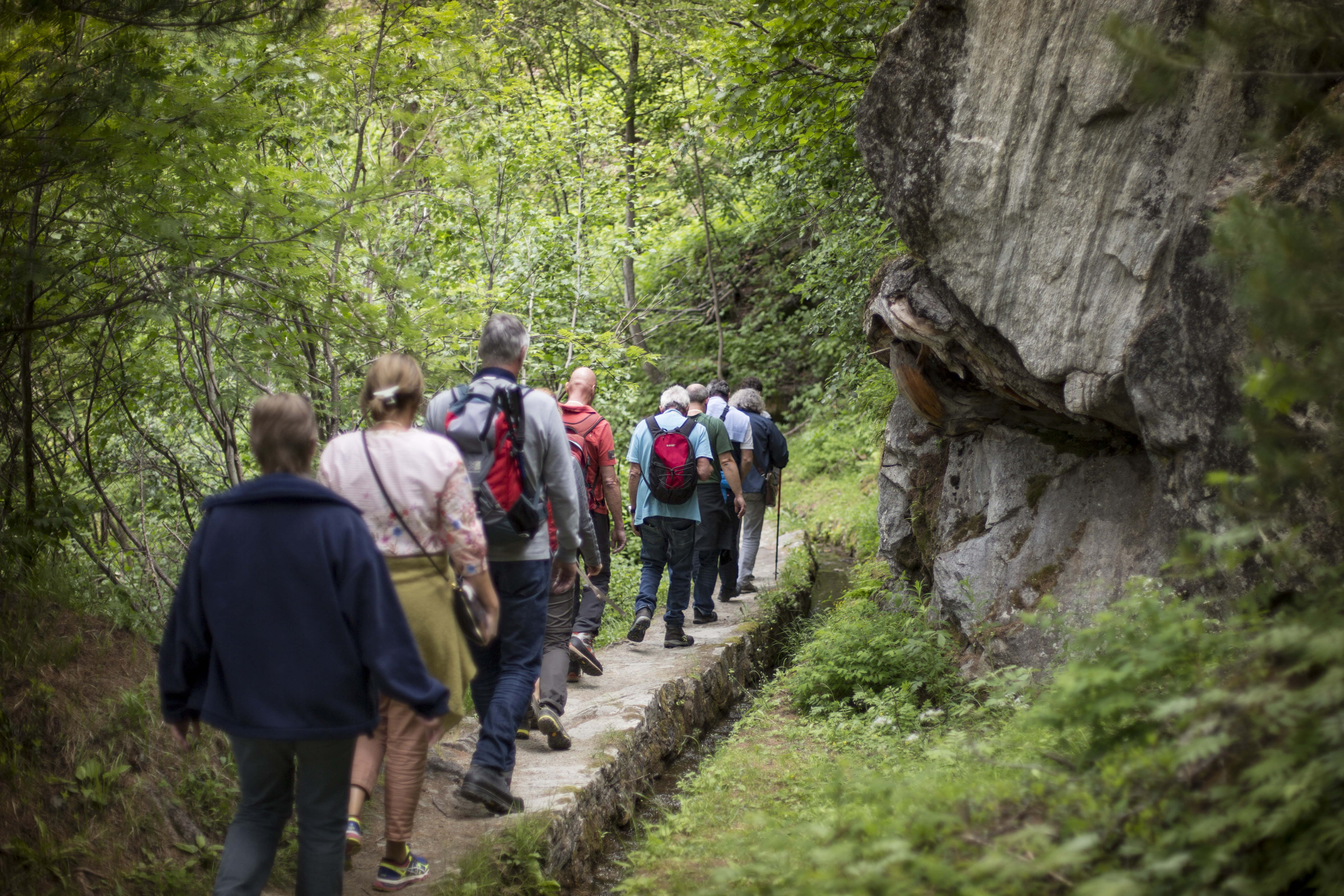 Saaser Gourmet-Trail