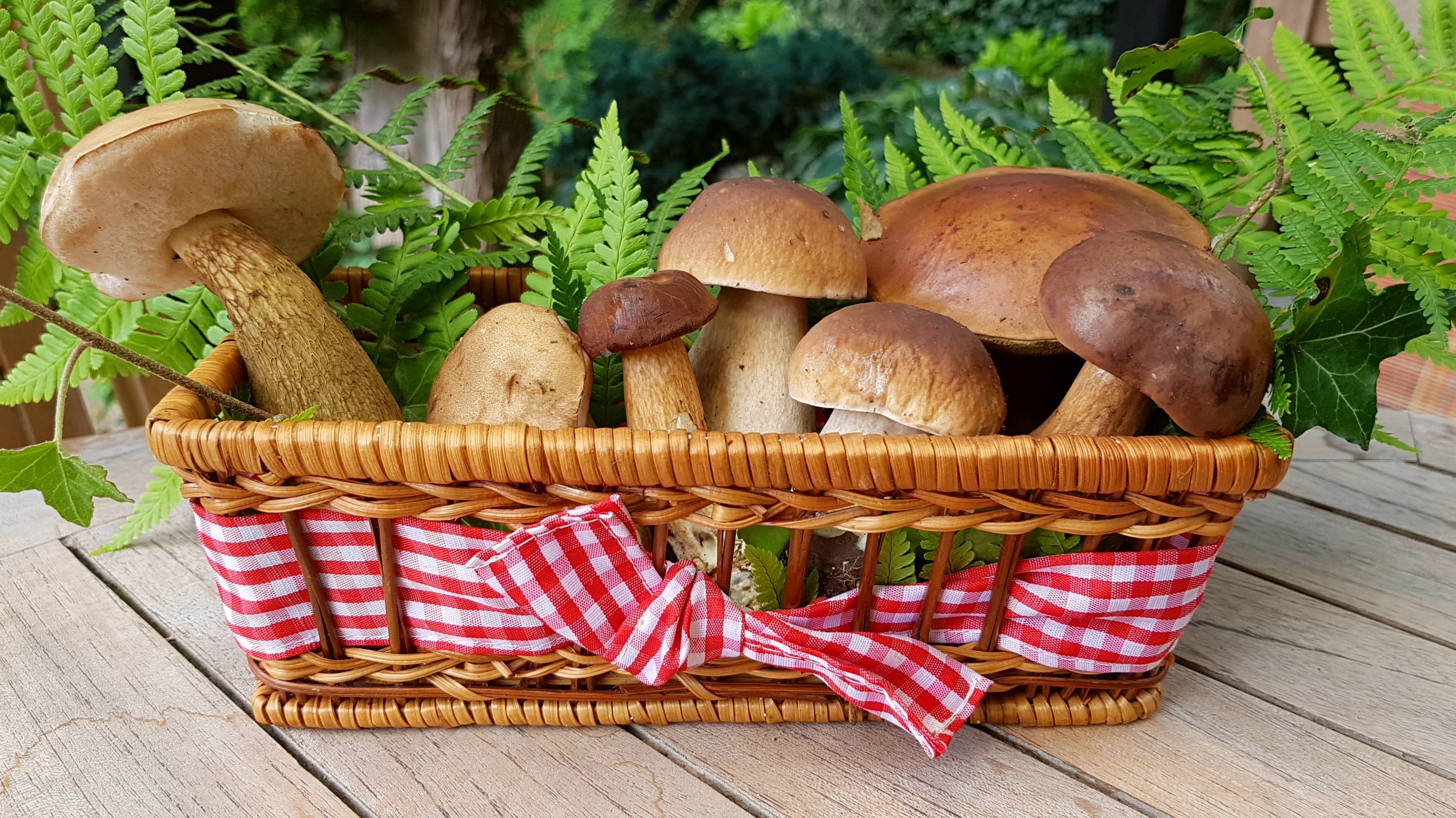 Porcini mushroom risotto