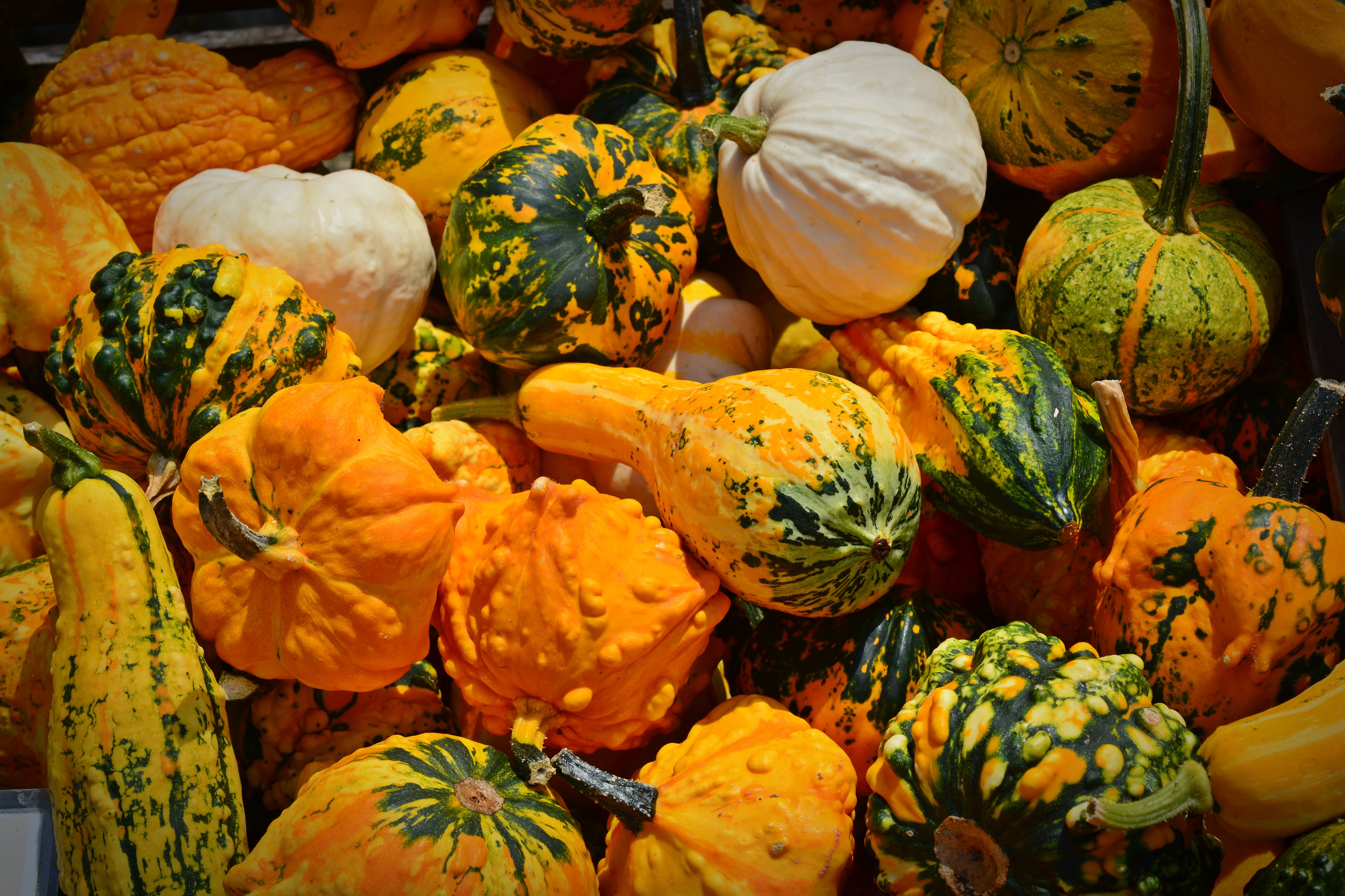 Pumpkin and spinach stew with lentils