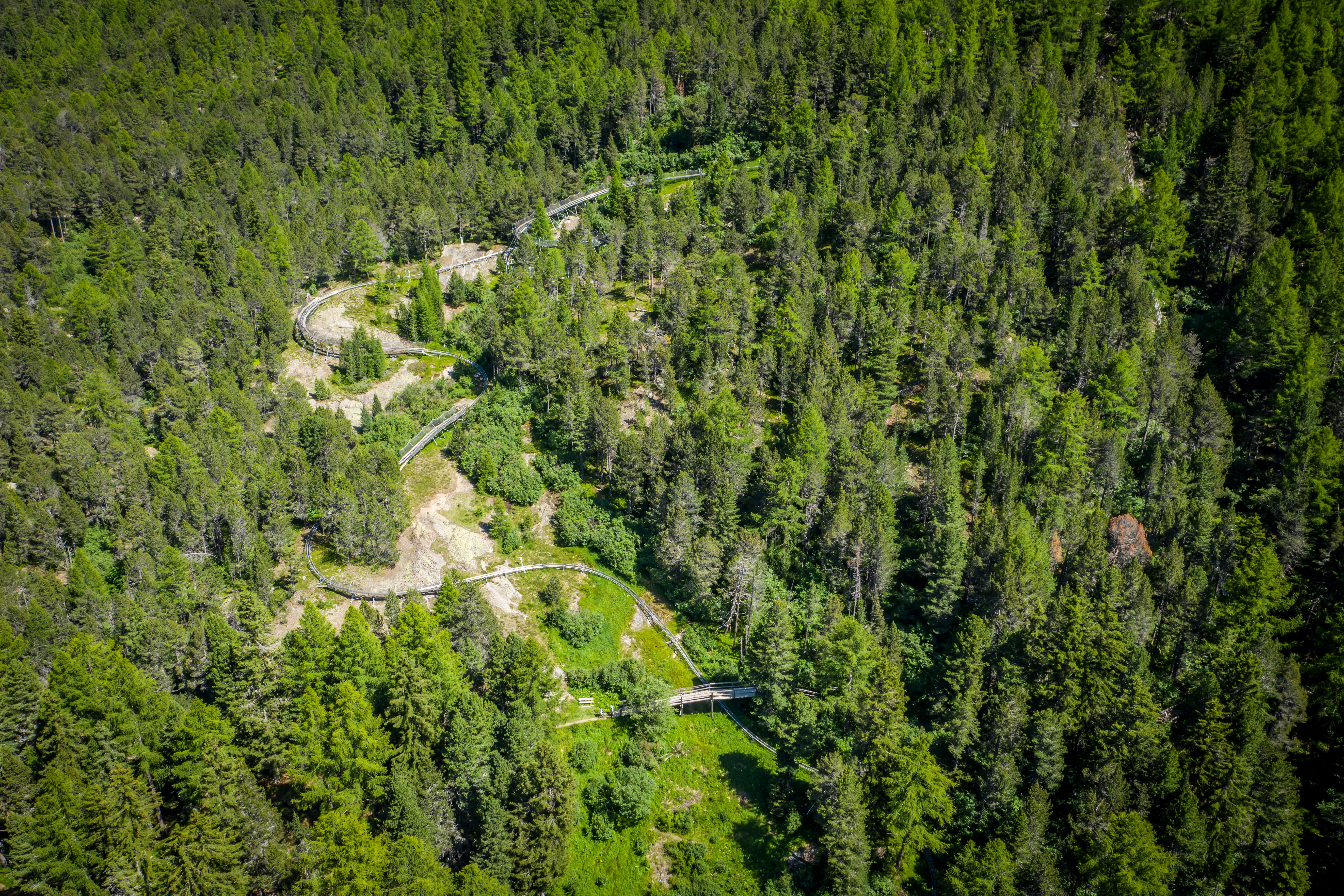 Rodelbobbahn Feeblitz Sommer