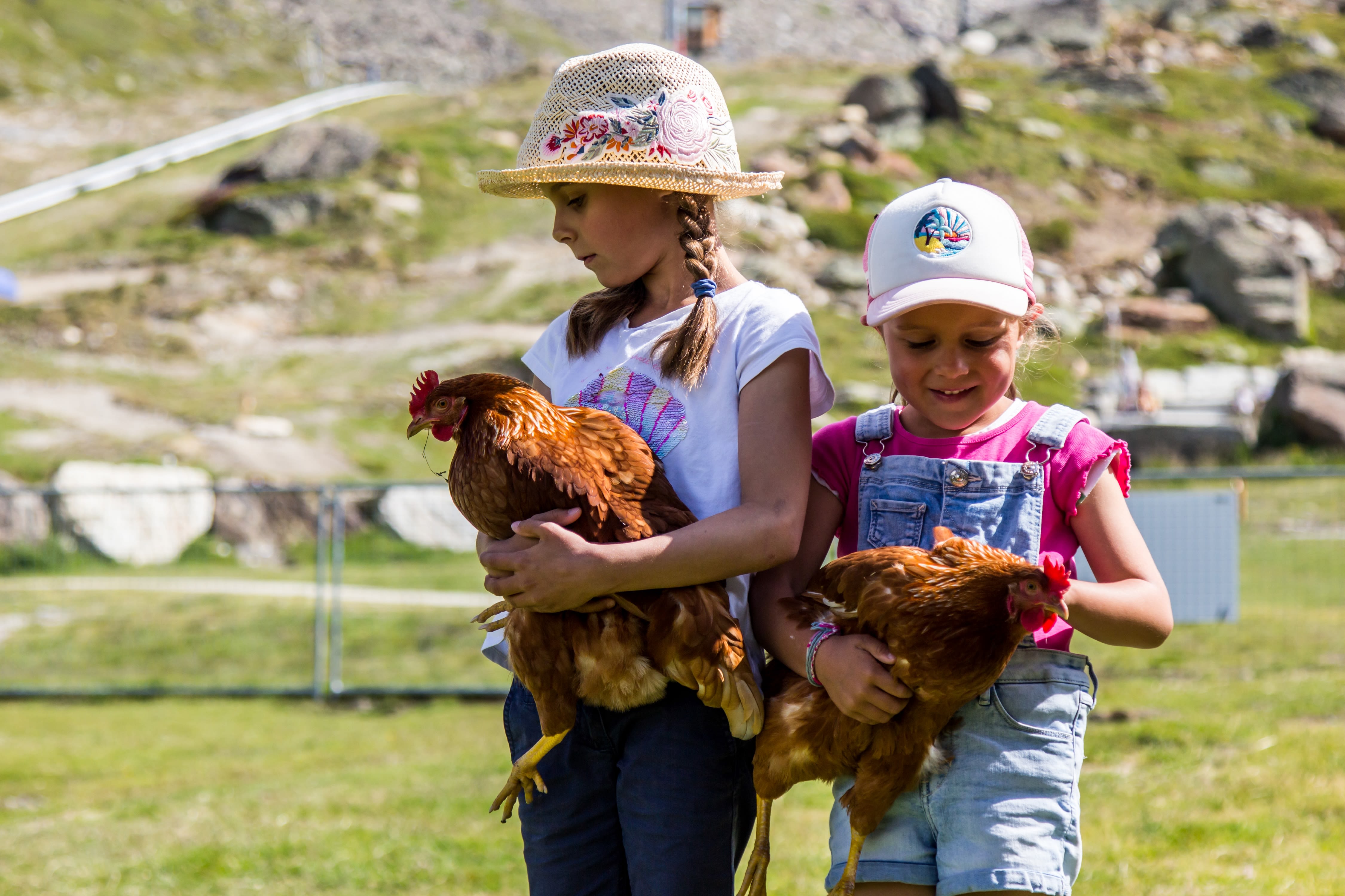 Kinder mit Hühner Sommer Kreuzboden