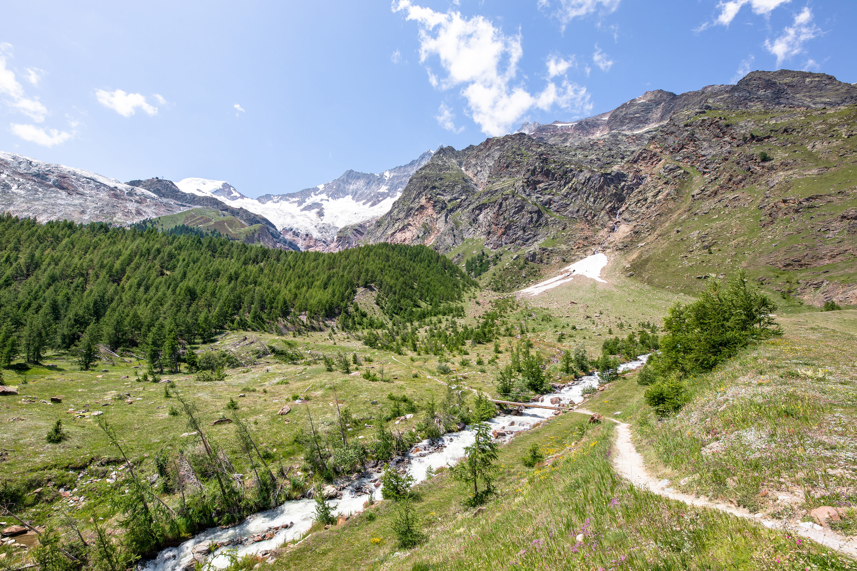 Sommerbild Landschaft 