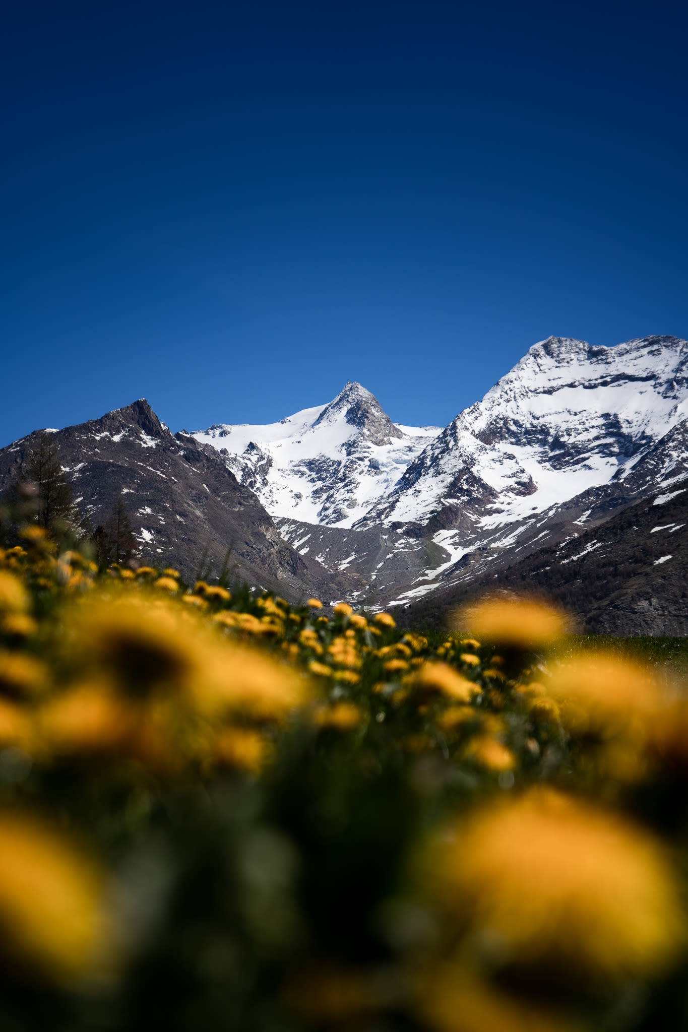 Fletschhorn Frühling Landschaftsbild