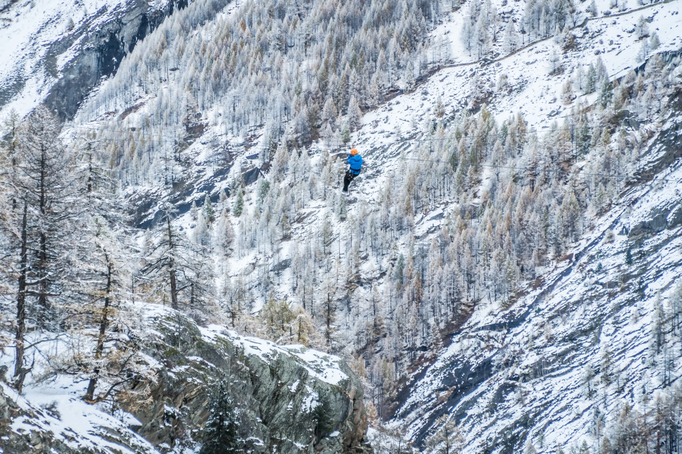 Zip Lines