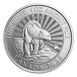 2025 1oz Canada The Majestic Polar Bears .9999 Silver BU Coin (In