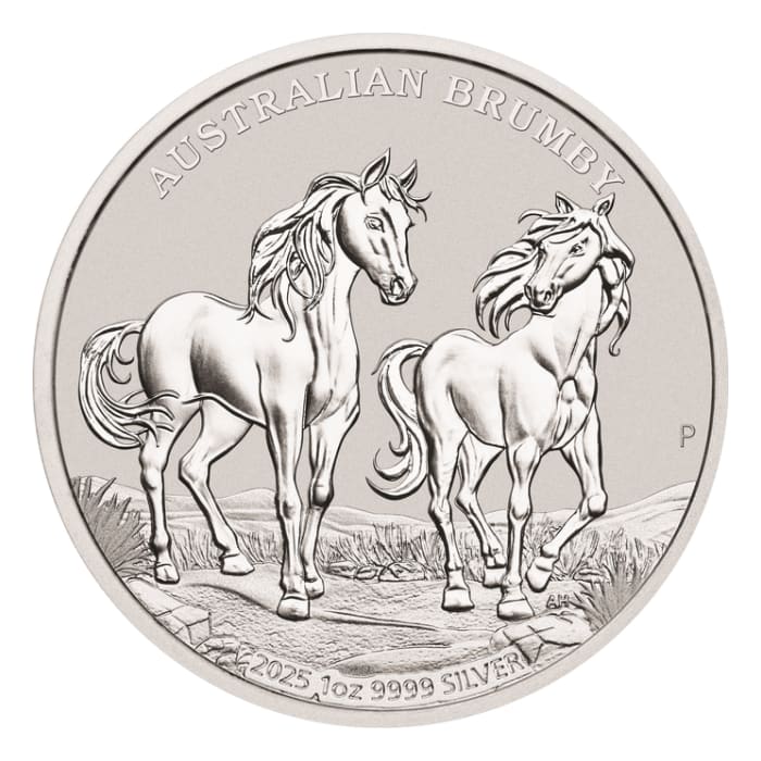 s_02-2025-Australian-Brumby-