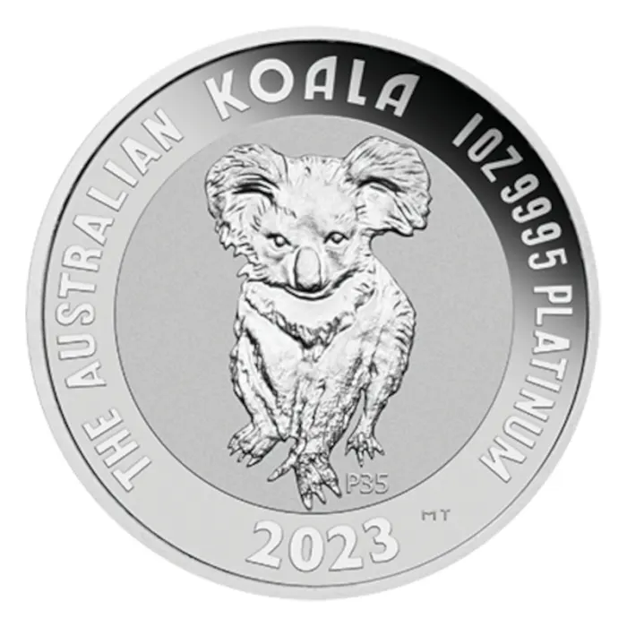 2023_perth_koala-