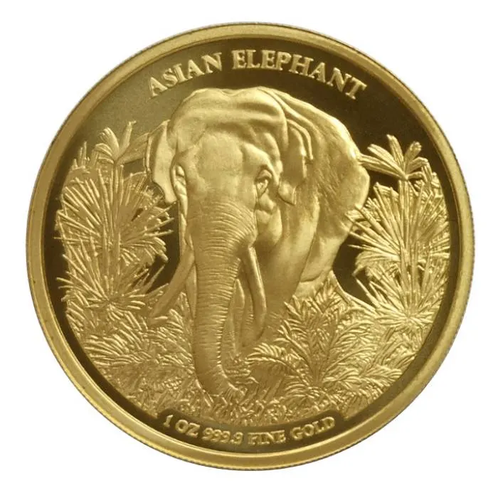 2023_1_oz_cambodia_asia_big_fi