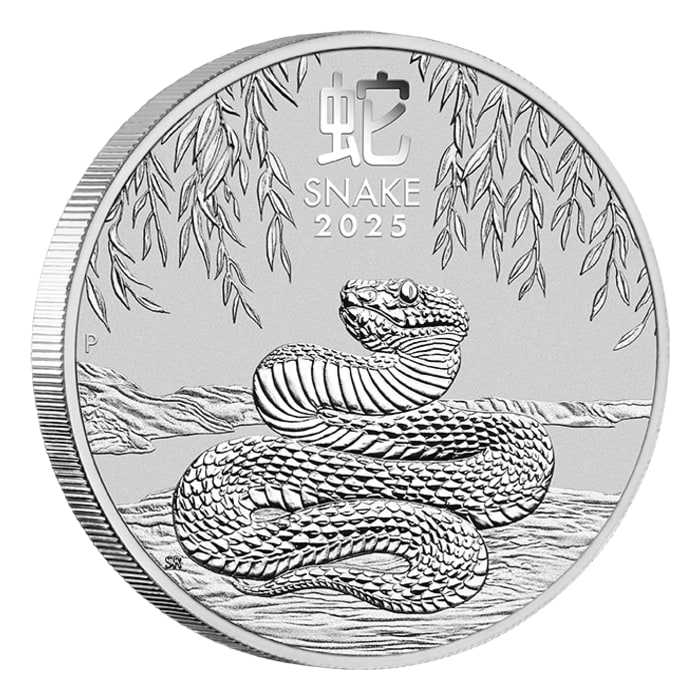 2025 50 Yuan China 150g panda Commemorative Silver Coin with