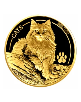 2018年 中国 10元 銀貨 NGC PF 70 猫　CAT 2018年 中国 10元 銀貨 NGC PF 70 猫 CAT 2018年 中国 10元