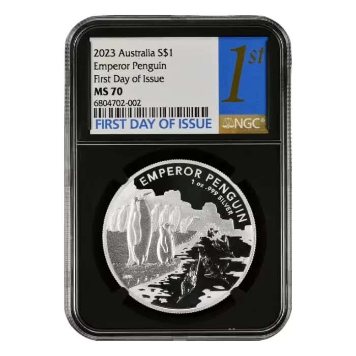 low_in_stock_template_-_2024-