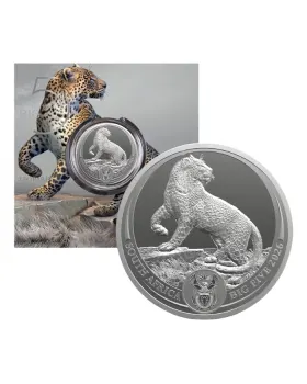 2025 南非五大動物系列III - 獅子.999銀幣1盎司(卡裝)