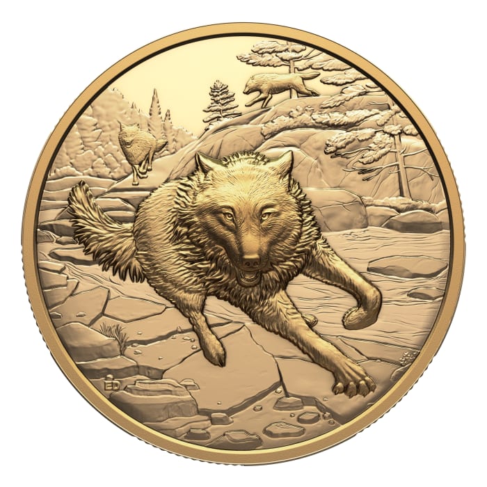 2025 1oz Canada Great Hunters : Grey Wolf .9999 Gold Ultra High