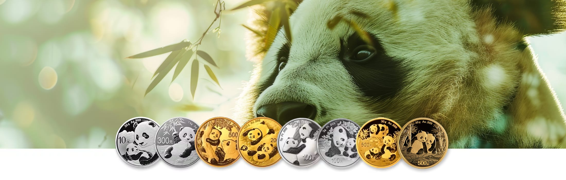 Buy China Panda Coins by The Chinese Mint | LPM