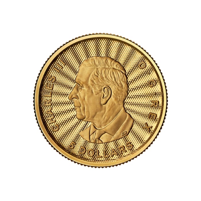 2025 加拿大雄偉的北極熊.9999金幣1/10盎司(卡裝)