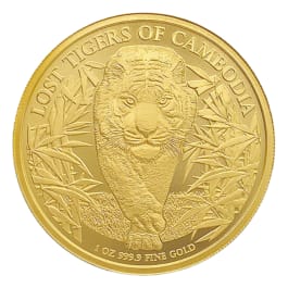 5_48_saf70r.png?_i=AB