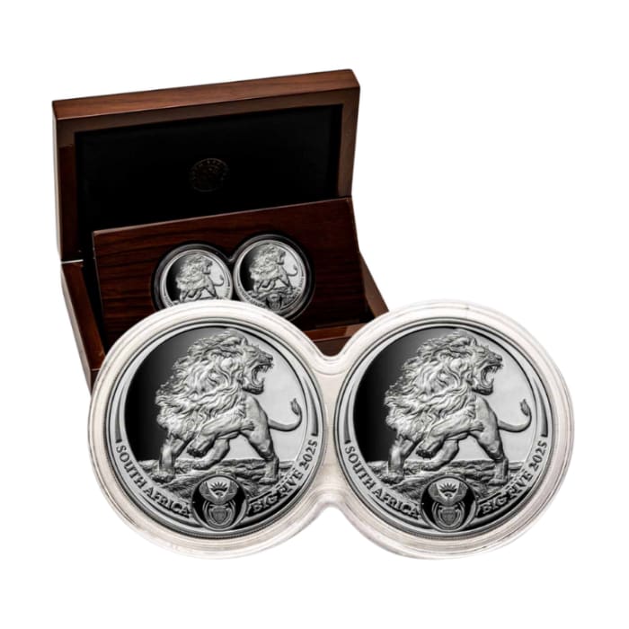 s_CSA25BigFiveLionS2CS_4_bbk3i