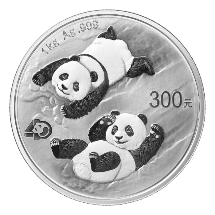 panda☆ ZEN GARDEN Panda Silver Coin 10 Yuan China 2025