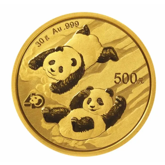 2022 30グラム 中国 パンダ銀貨 40mmクリアケース付き 新品未