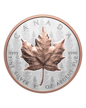 2025 1oz Canada Silver Maple Leaf .9999 Silver Ultra High Relief Reverse Proof Coin with selective Rose Gold Plating