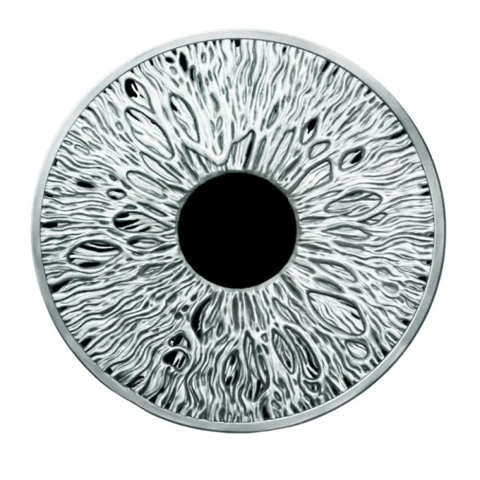 the-eye-obv.jpg?_i=AB the-eye-obv.jpg?_i=AB