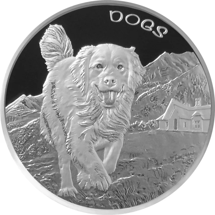 SIIILON Beloved dog foodie定価の半額以下！ SIIILON Beloved dog foodie定価の半額以下！