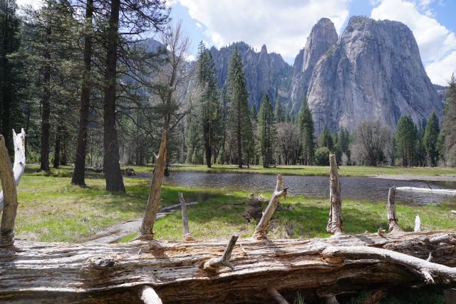 Chụp mỹ phẩm Peach C