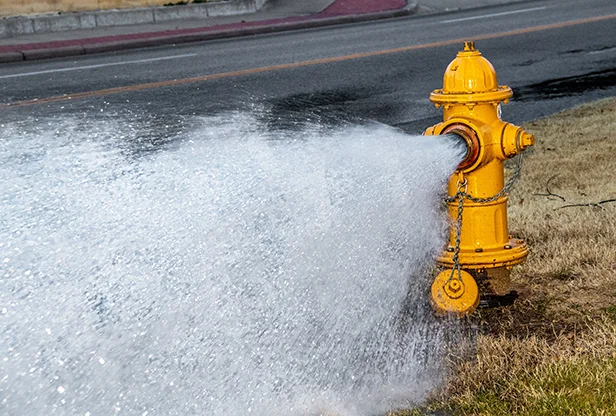 Fire Protection Philippines - Fire Hydrant