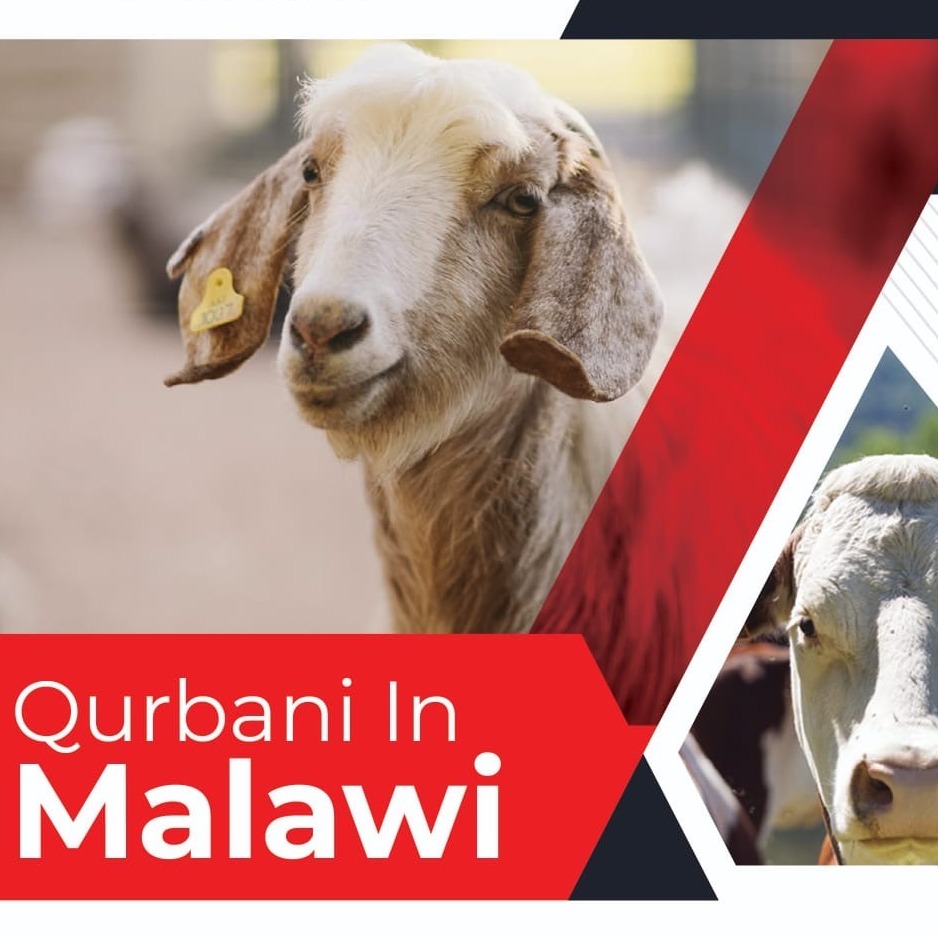 Qurbani in Malawi
