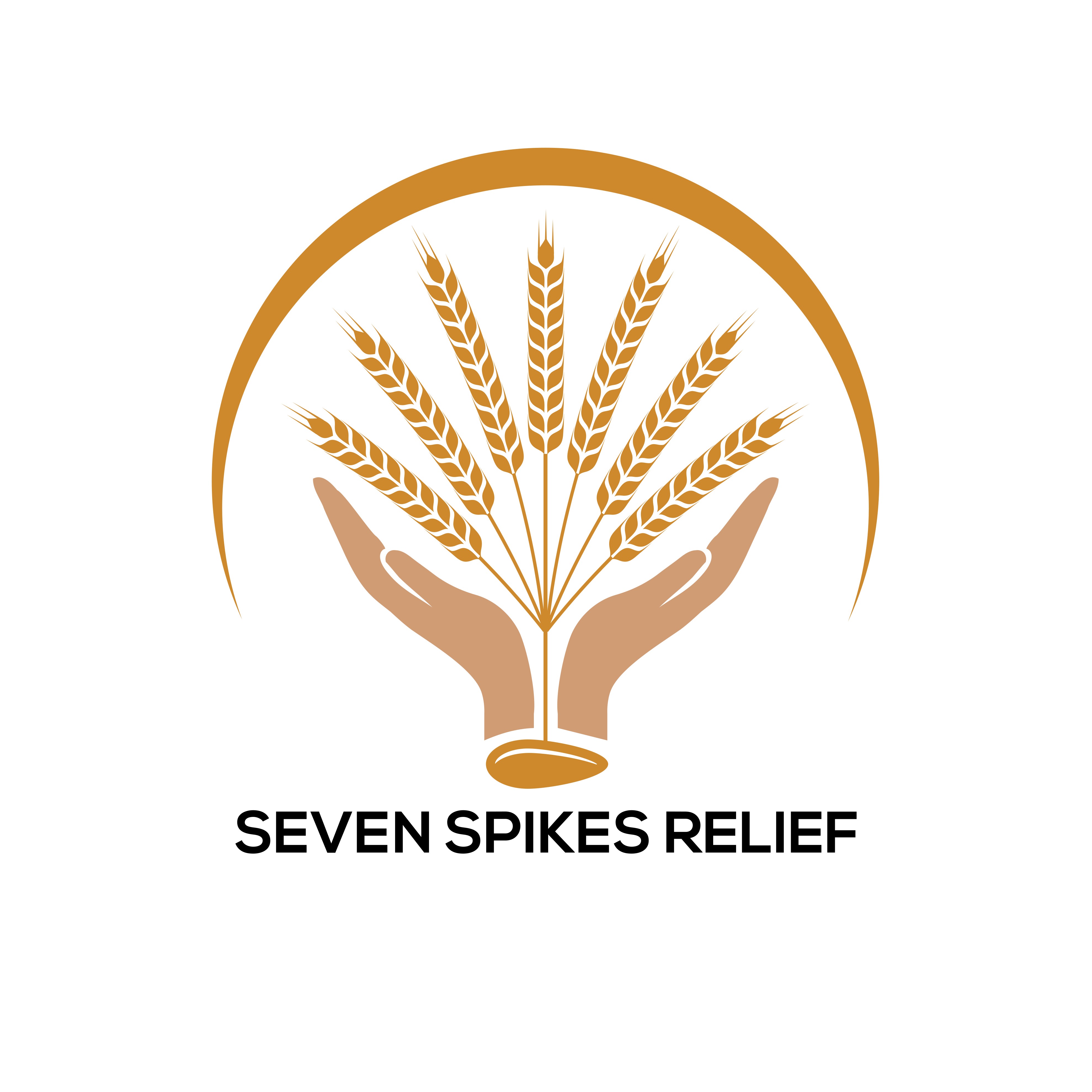Seven Spikes Relief Foundation 