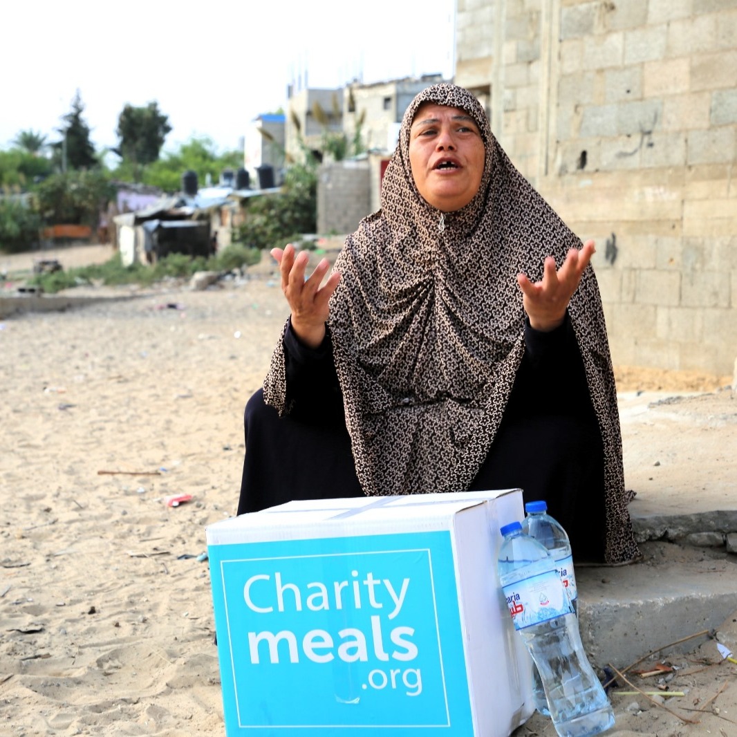 Food Parcels and Hot Meals for Palestinian Refugees in Egypt.