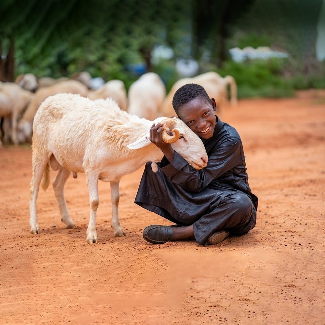 Qurbani 2026: Reaching 2,000 Families Worldwide