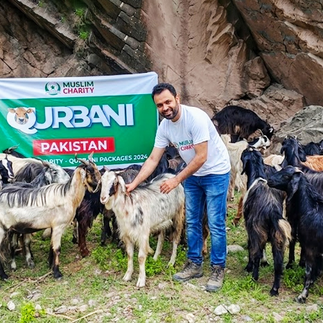 Qurbani 2026: 2,000 Sacrifices, Global Impact