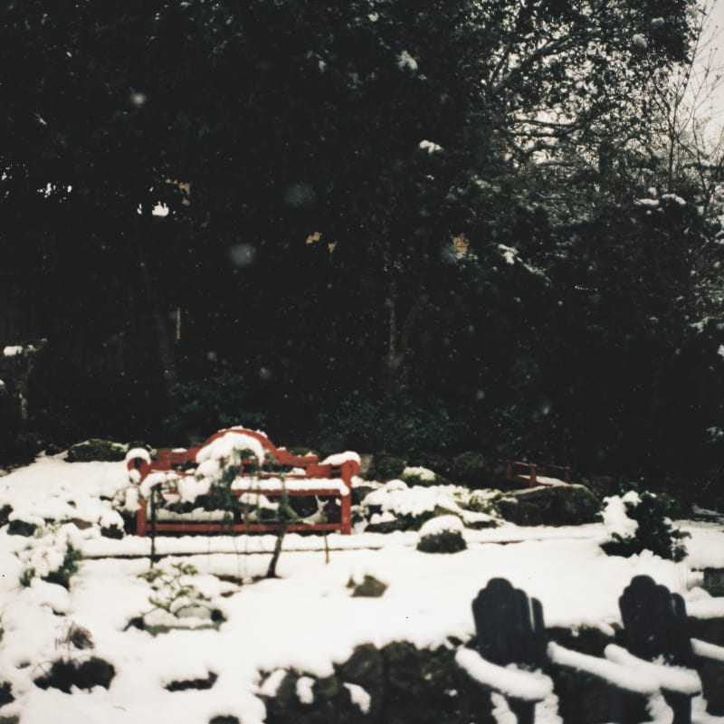 Adele's snowy back yard