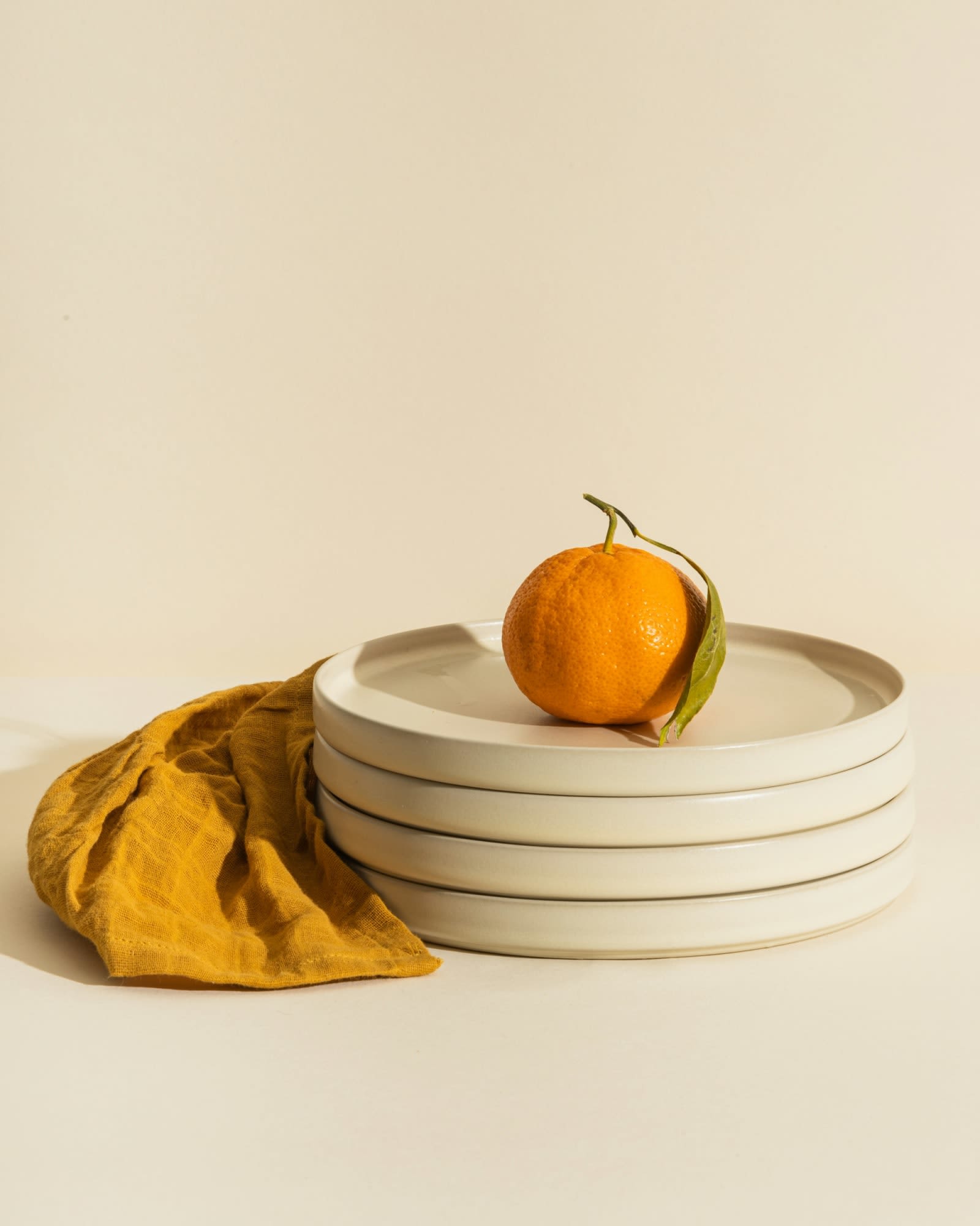 Stoneware Dinner Plates