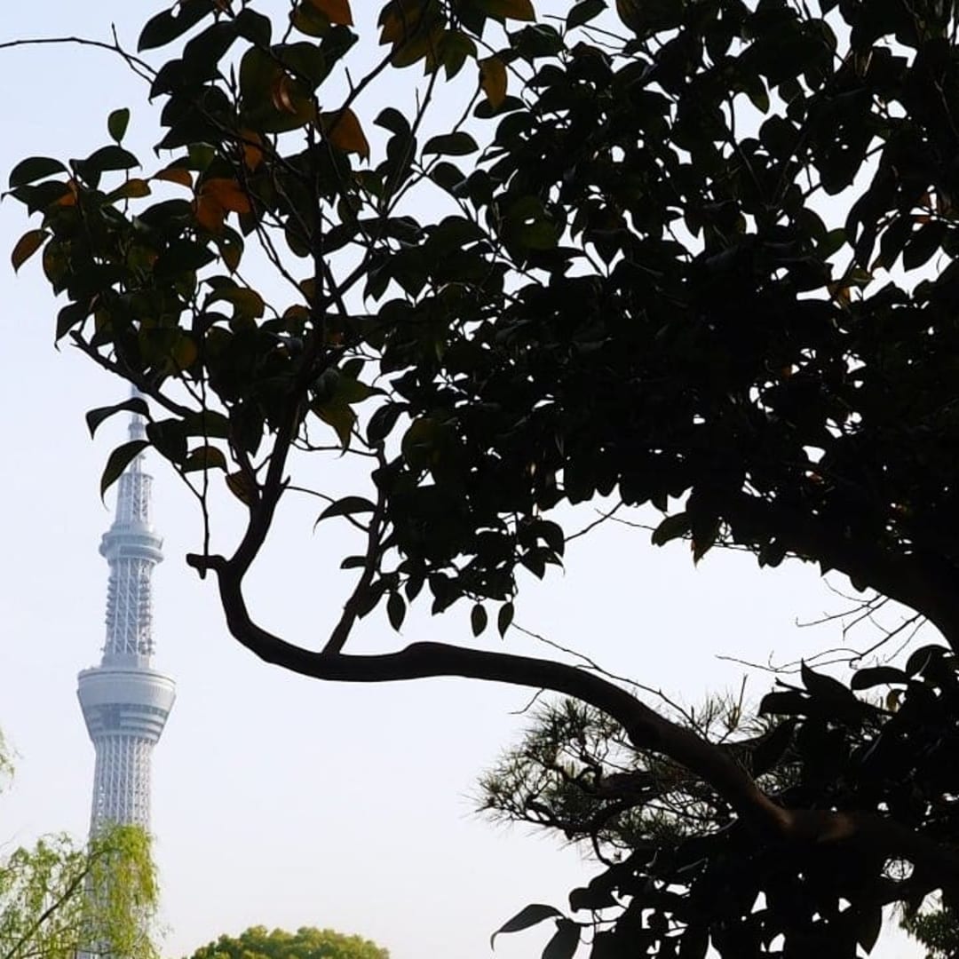 A Cultural Garden Walk from Tokyo Skytree to Mukojima – Temples, Shrines, and Seasonal Beauty - 2