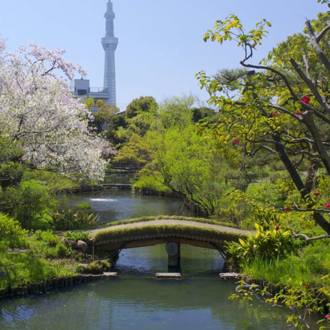 A Cultural Garden Walk from Tokyo Skytree to Mukojima – Temples, Shrines, and Seasonal Beauty - 3