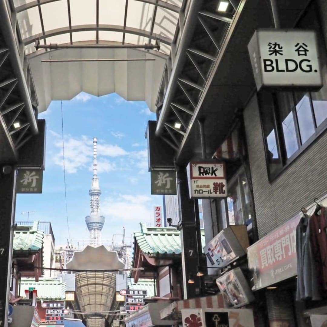 浅草新仲見世商店街 - 3