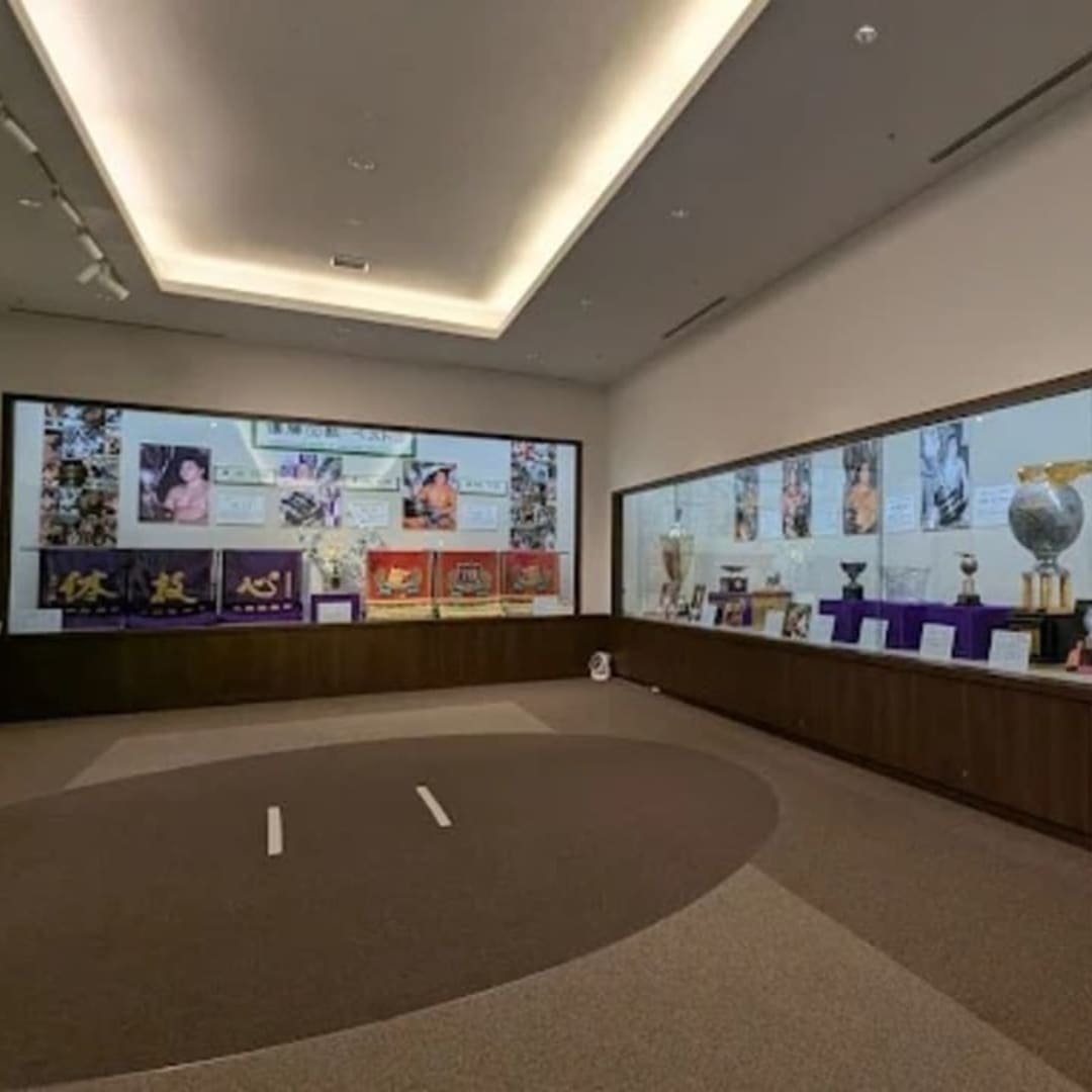 Sumō Museum - View 1